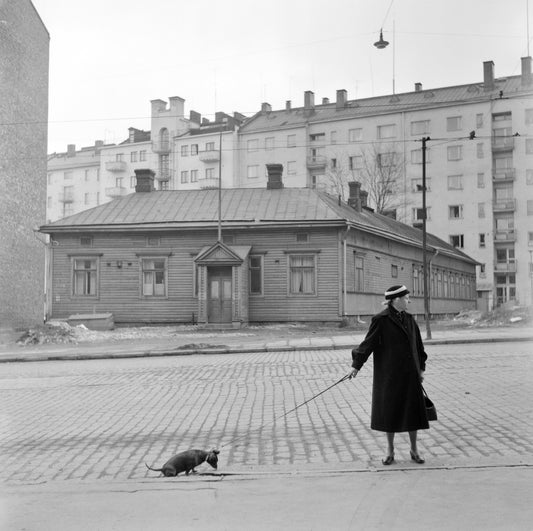 TÖÖLÖ 1958: "Viimeinen puuasema" - T-paita