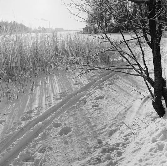 MEILAHTI 1959: "Hiihtolatu Meilahden rannassa" - T-paita